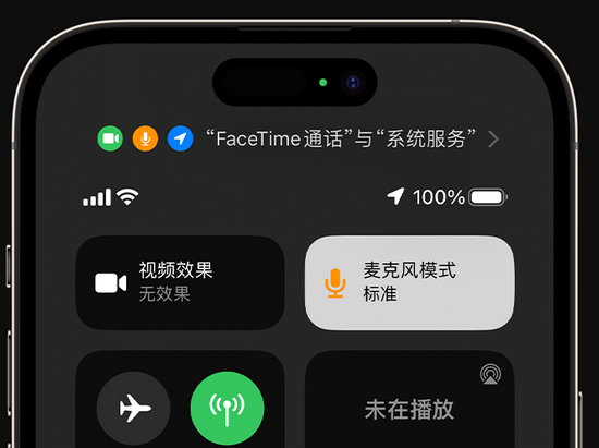 嘉定苹果授权维修网点分享iPhone在通话时让你的声音更清晰 