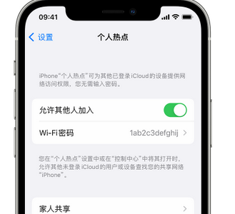 嘉定apple服务站点分享iPhone上个人热点丢失了怎么办