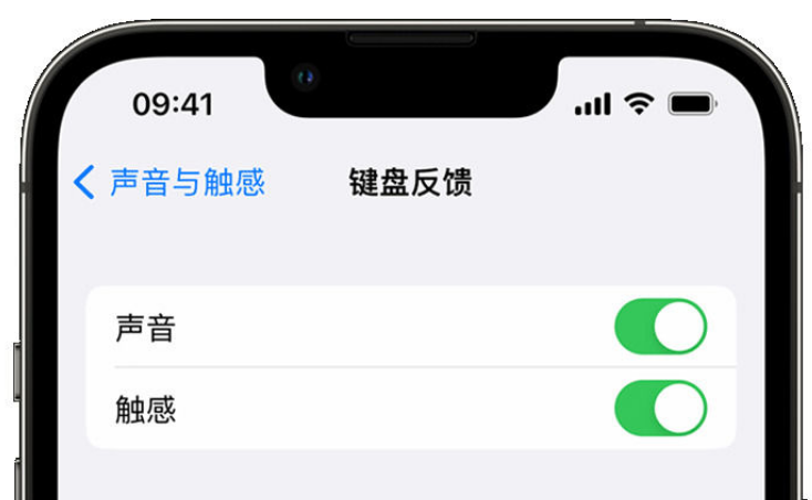 嘉定苹果手机维修分享iPhone 14触感键盘使用方法 