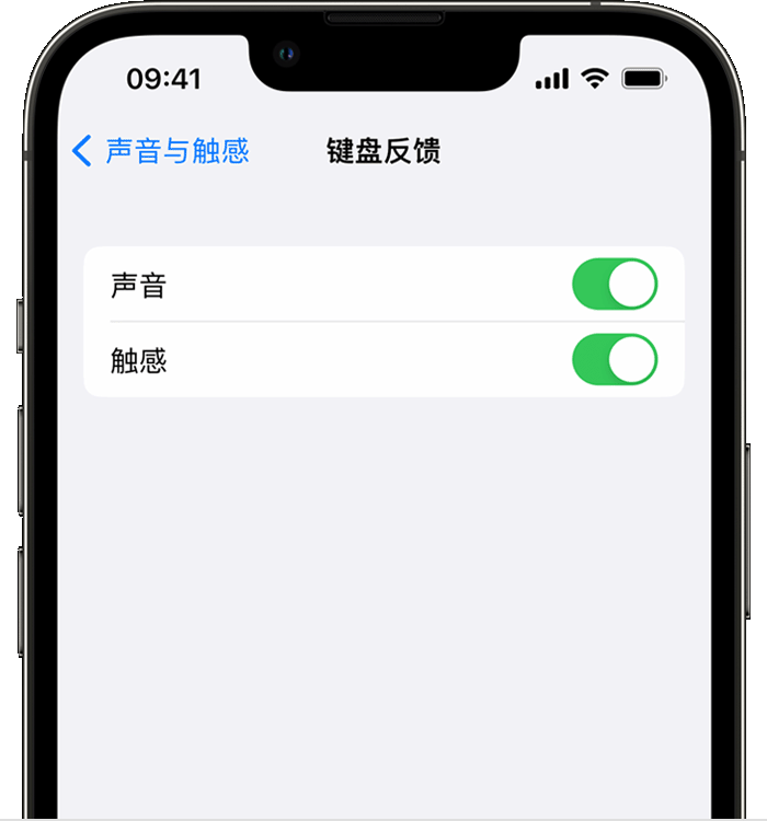 嘉定苹果14维修店分享如何在 iPhone 14 机型中使用触感键盘 