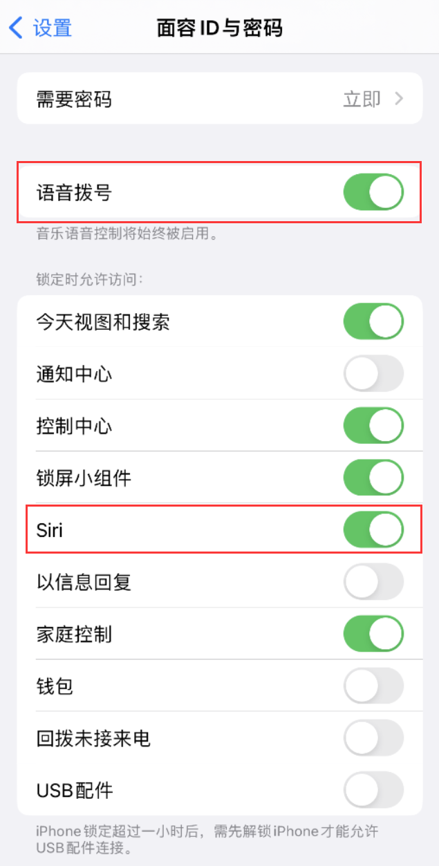 嘉定苹果维修网点分享不解锁 iPhone 的情况下通过 Siri 拨打电话的方法 