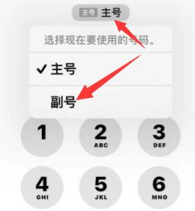 嘉定苹果14维修店分享iPhone 14 Pro Max使用副卡打电话的方法 