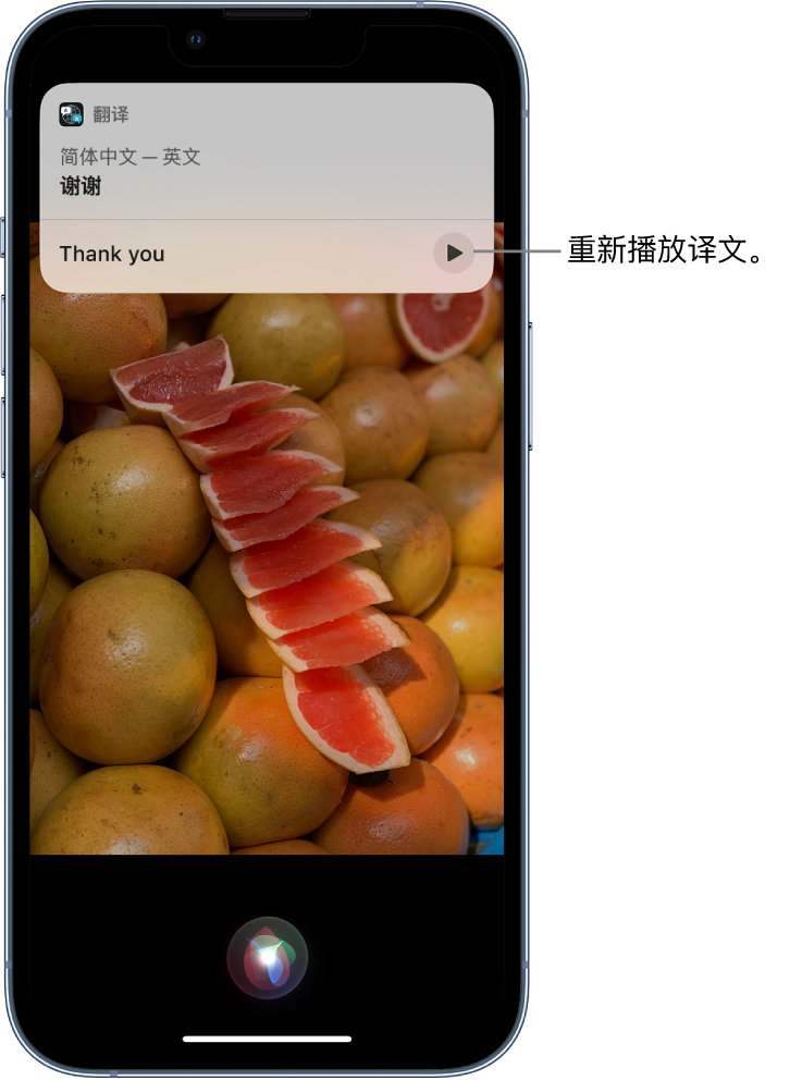 嘉定苹果14维修分享 iPhone 14 机型中使用 Siri：了解 Siri 能帮你做什么 