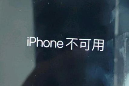 嘉定苹果服务网点分享锁屏界面显示“iPhone 不可用”如何解决 