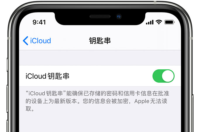 嘉定苹果手机维修分享在 iPhone 上开启 iCloud 钥匙串之后会储存哪些信息 