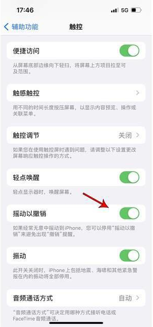 嘉定苹果手机维修分享iPhone手机如何设置摇一摇删除文字 